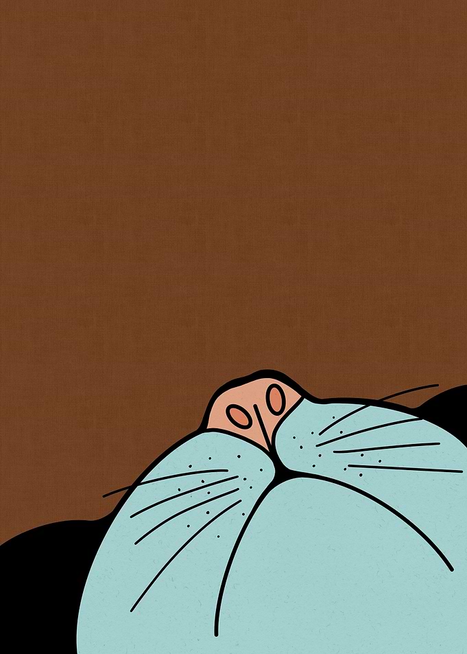 Cute Cartoon Cat Nose Close-Up