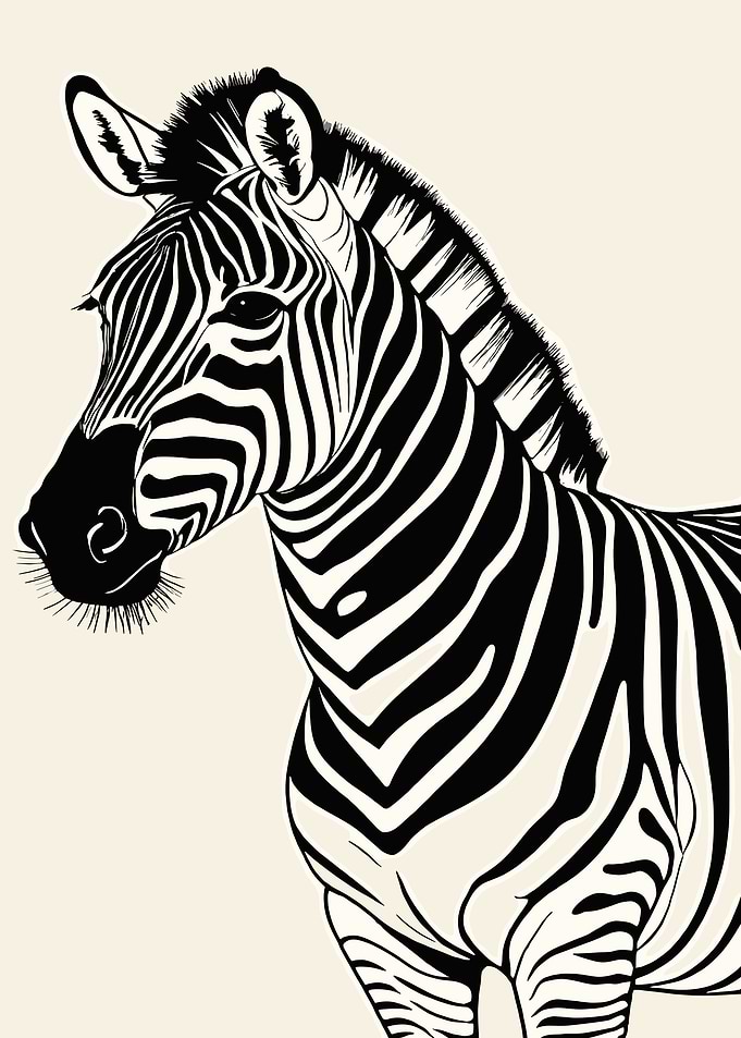 Zebra Portrait Black and White