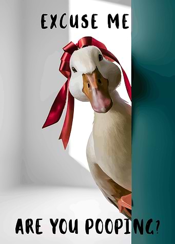 Duck with Bow: Excuse Me?