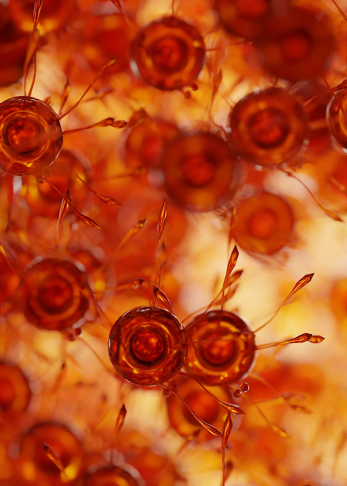 Amber Spheres with Delicate Projections
