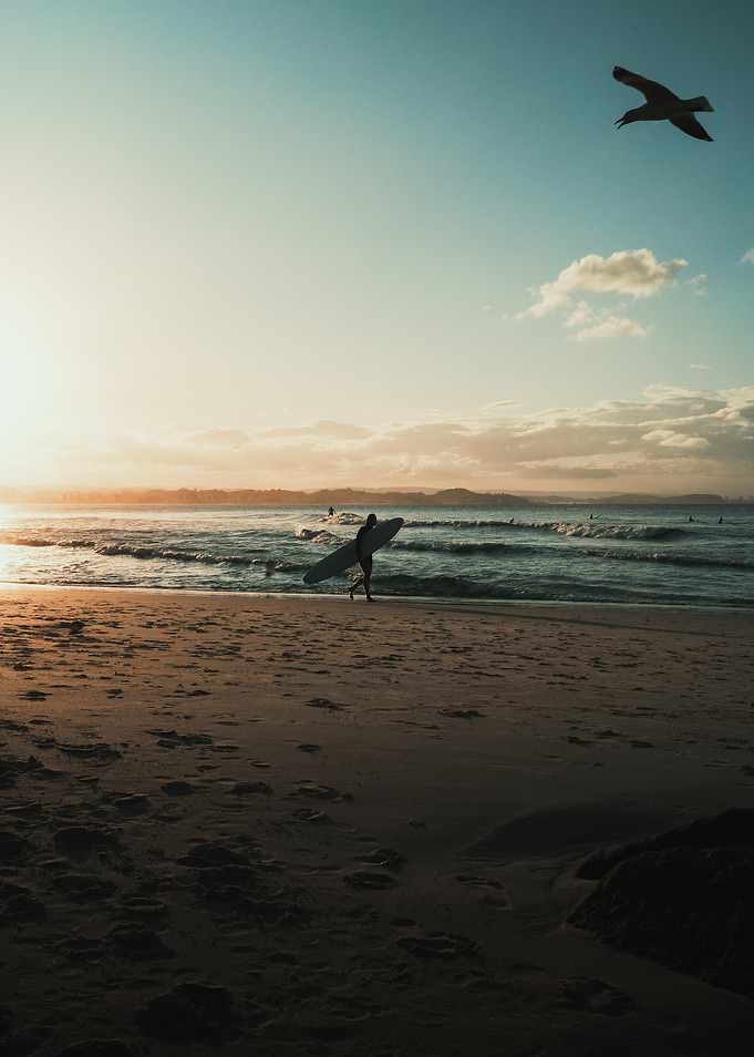 Surfer on beach at sunset