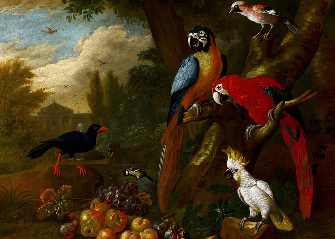 Exotic Birds and Fruit Still Life