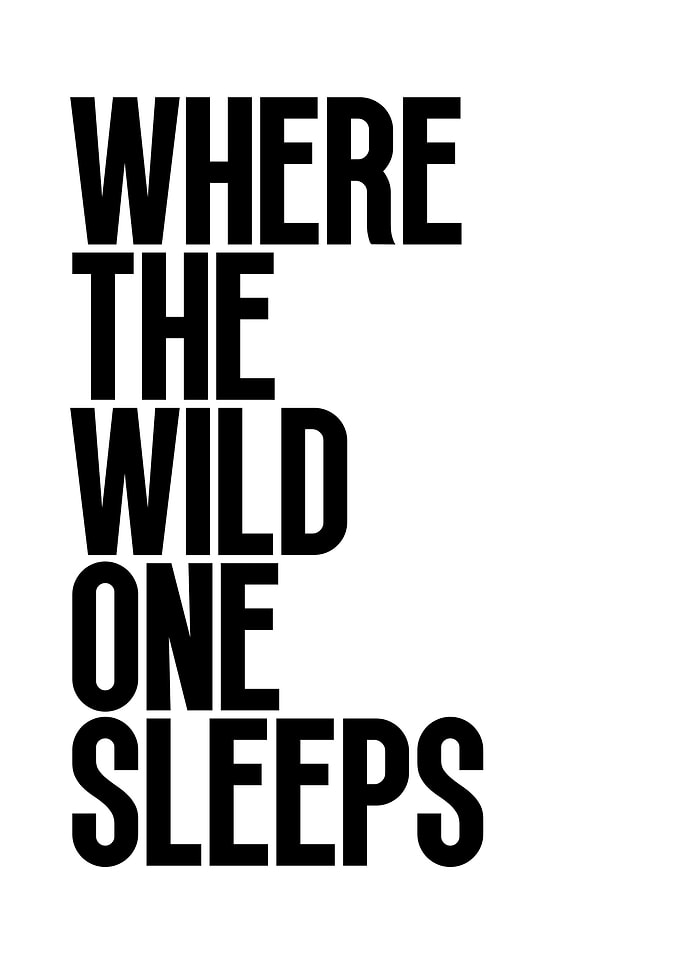 Where the Wild One Sleeps