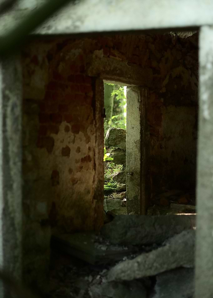 Ruined Building Interior with Forest View