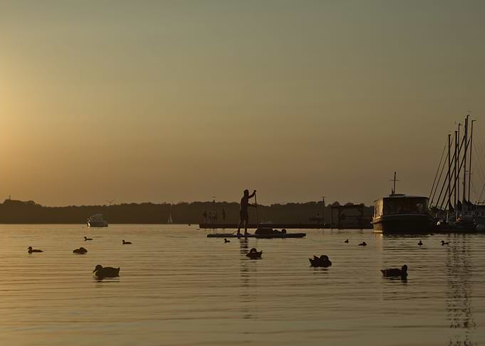 Paddleboarding at Sunset with Ducks