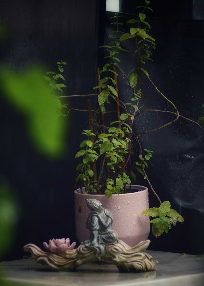 Indoor Zen Garden with Buddha Statue