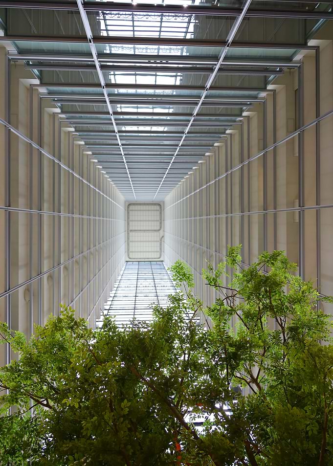 Tree Trapped and Dwarfed in Atrium