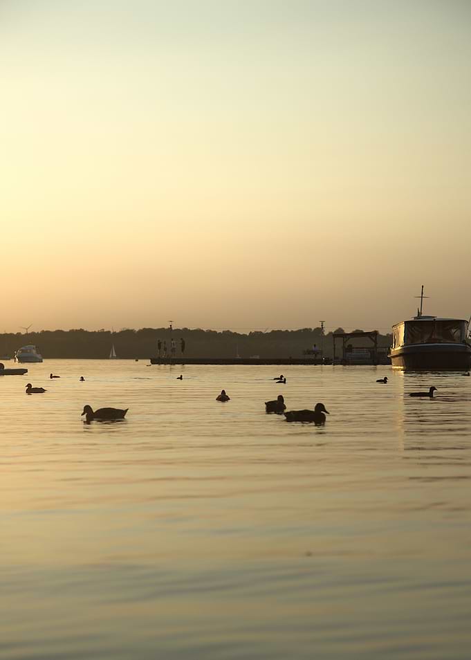 Ducks swimming on a lake at sunset
