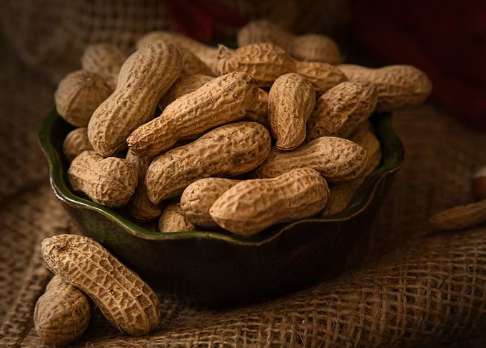 Bowl of Peanuts in Shell