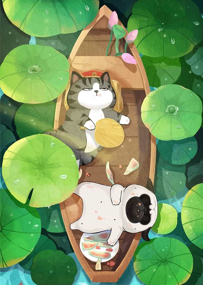 Cat Dog Boat Animal