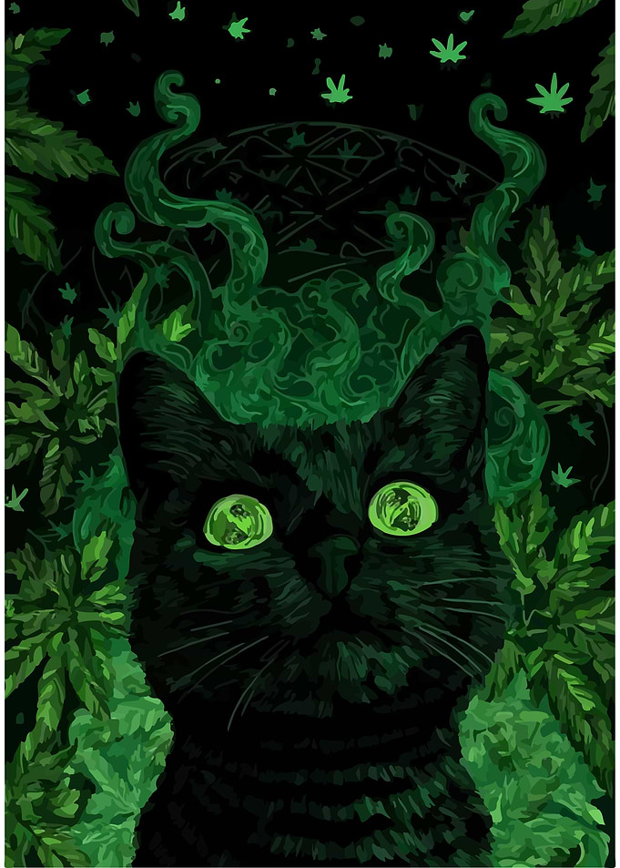 Black Cat with Green Eyes and Leaves