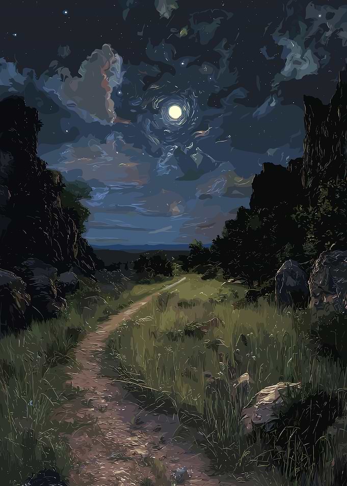 Moonlit Path Through Grassy Landscape