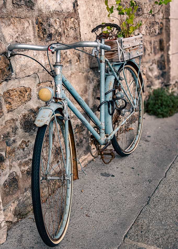 Vintage Bicycle with Plant Decor