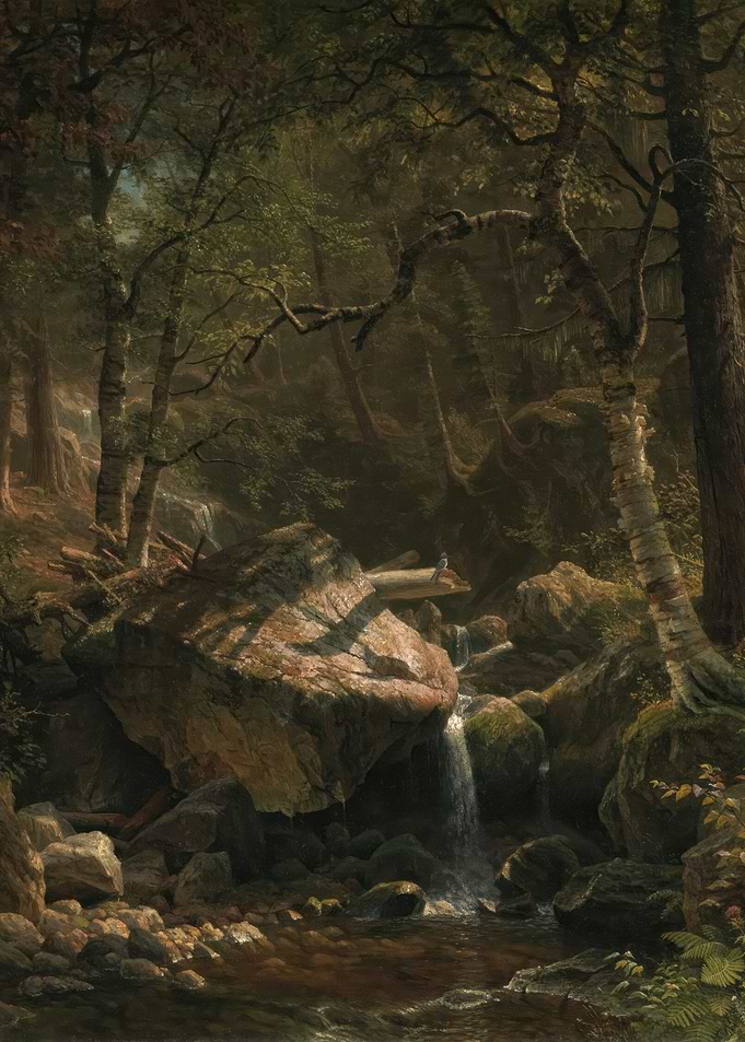 Forest Stream Painting