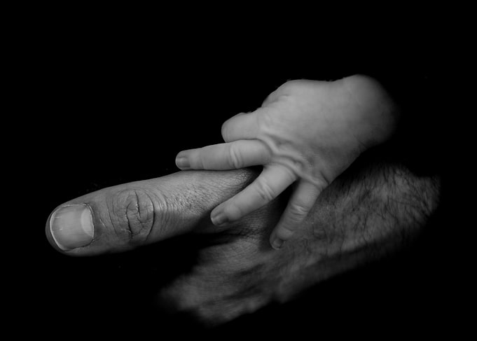 Baby's Hand on Adult's Finger