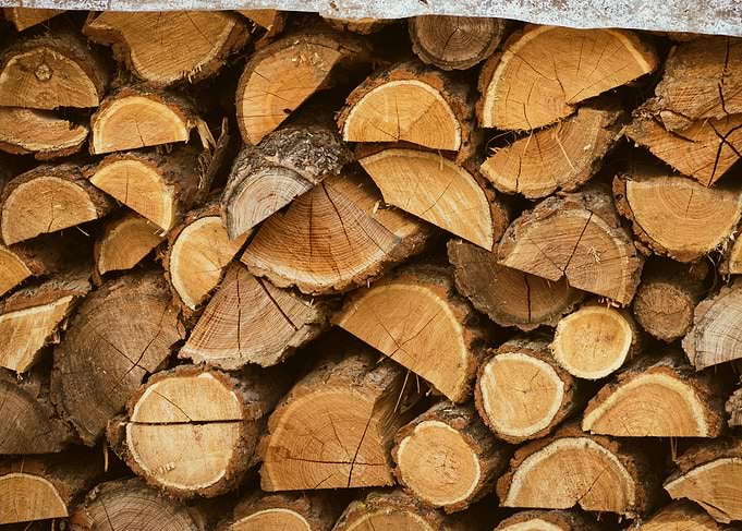Stack of Cut Firewood Logs