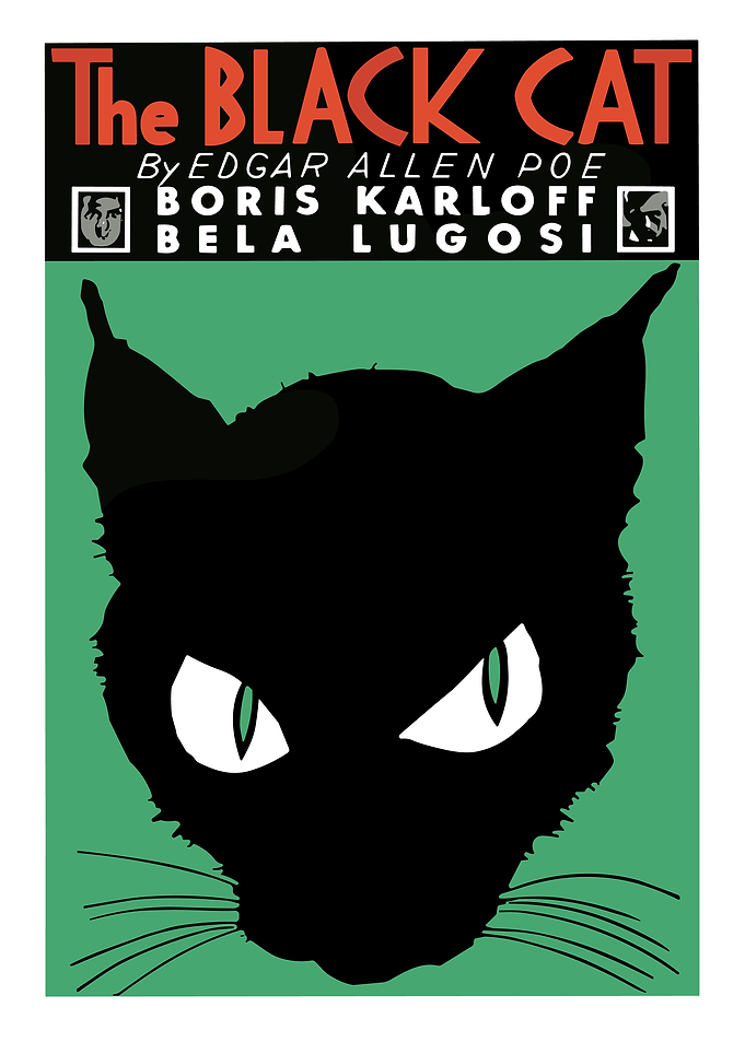The Black Cat Movie Poster