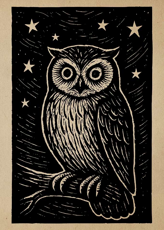 Owl in the Night Sky Art