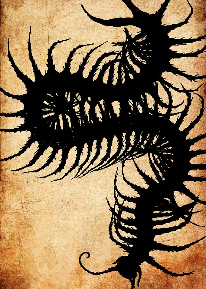Creepy Centipede Silhouette on Parchment