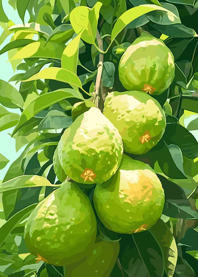 Green Citrus Fruit on a Branch