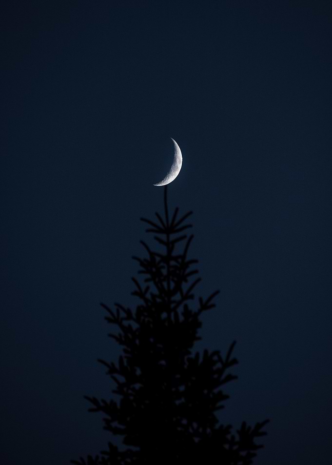 Crescent Moon