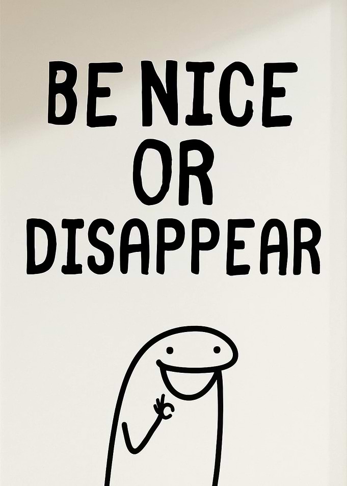 Be Nice or Disappear Funny Saying Humor!