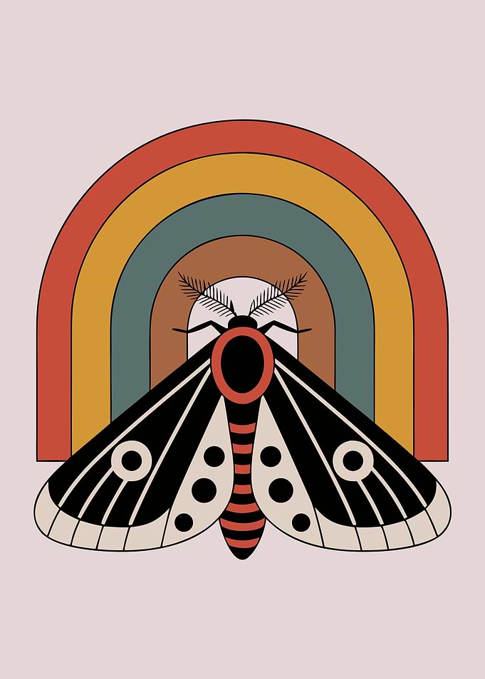 Moth and Rainbow Illustration