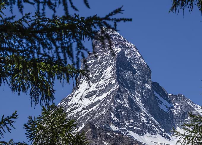 Matterhorn Peak Framed by Evergreen Branches