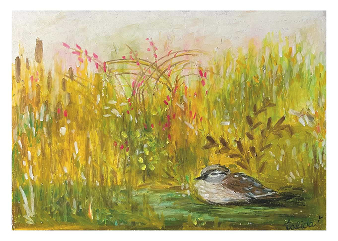 Bird in Meadow