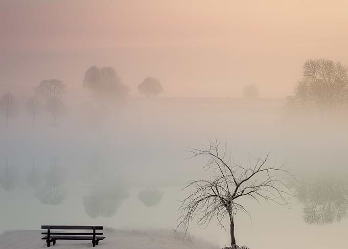 Misty Landscape with Bench and Tree