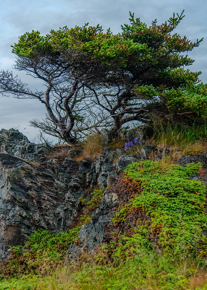 Rocky Cliffside with Tree and Flowers