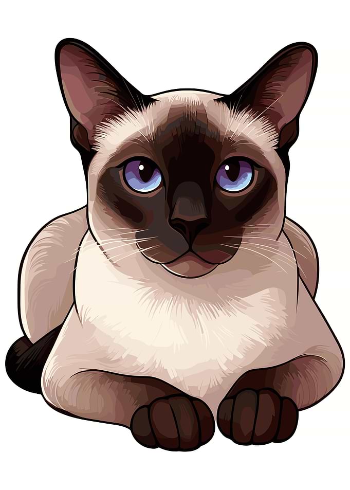Siamese Cat Illustration