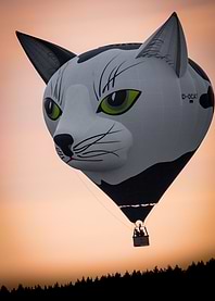 Cat-shaped hot air balloon at sunset