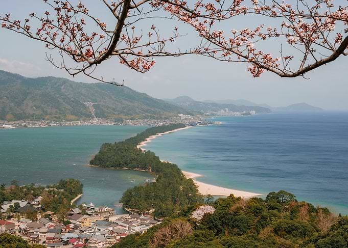 Amanohashidate Sandbar with Cherry Blossoms