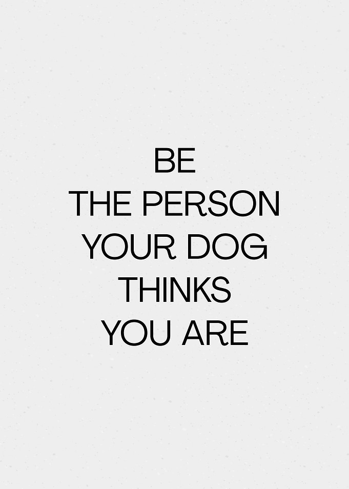 BE THE PERSON YOUR DOG THINKS YOU ARE