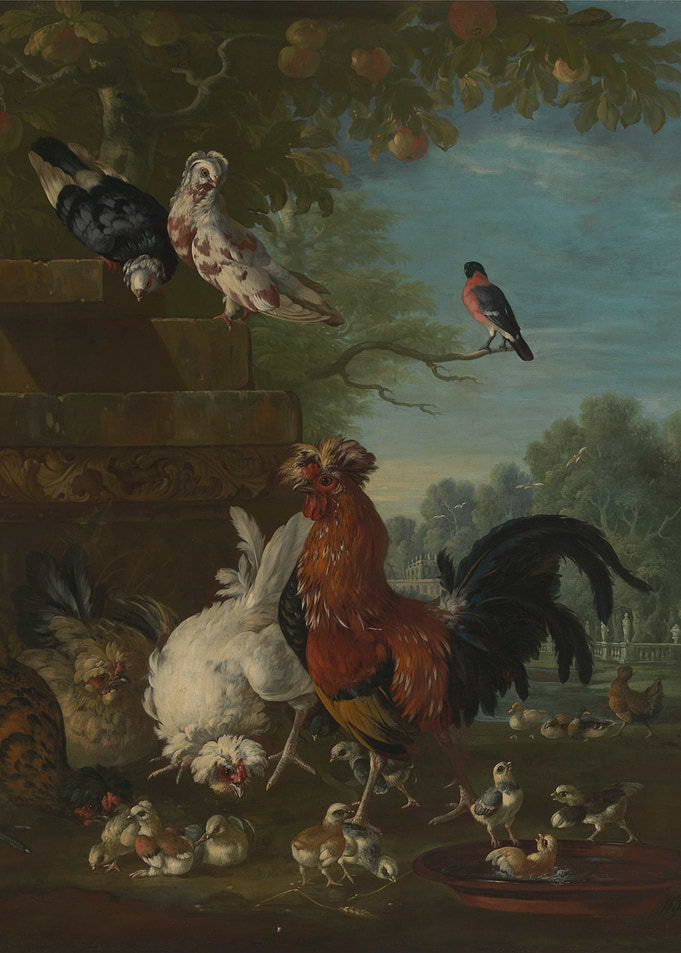 Poultry and Pigeons in a Landscape