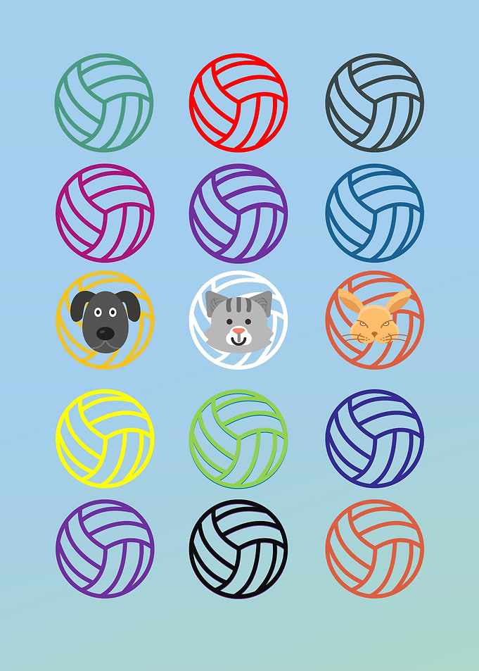 Colorful Volleyballs with Animal Faces Pattern