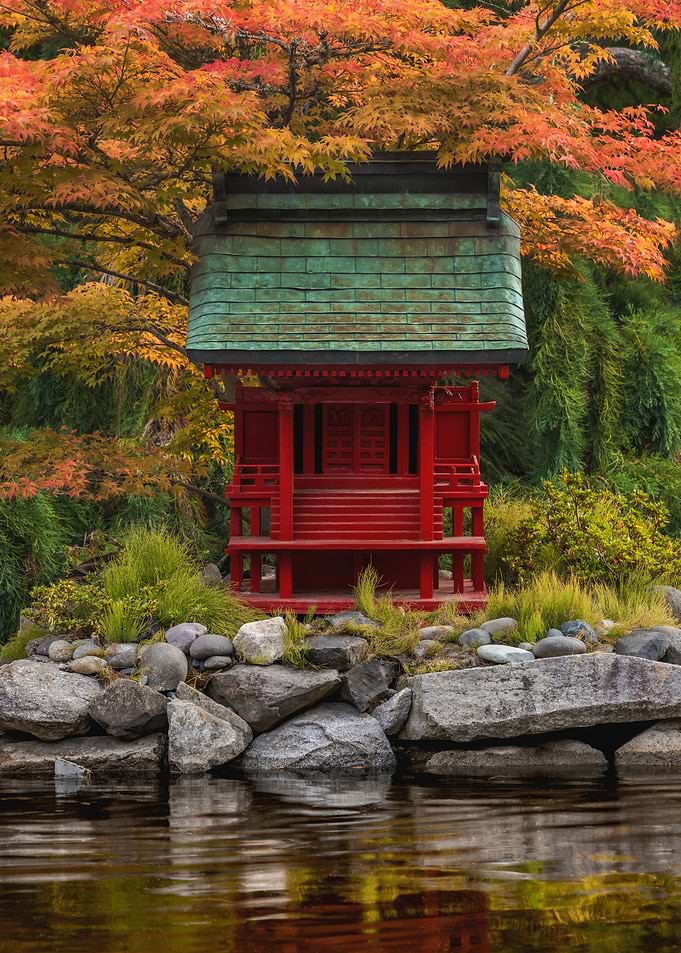 Autumn's Embrace
