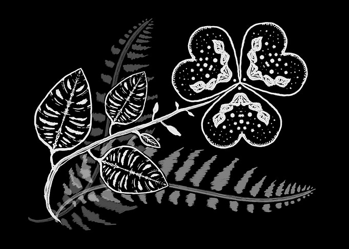 White Floral and Fern Illustration on Black