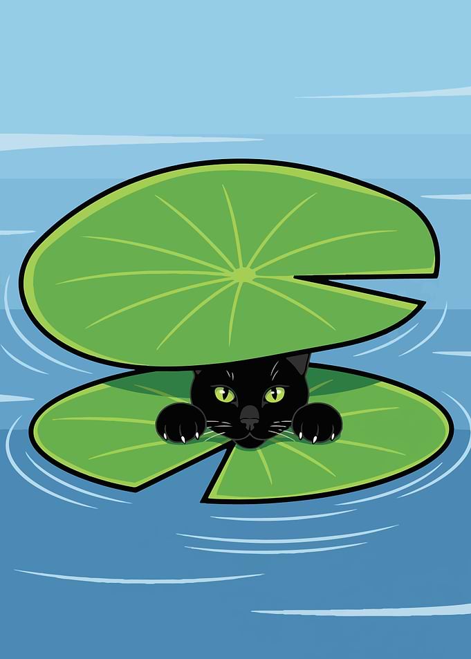 Black cat hiding under lily pads