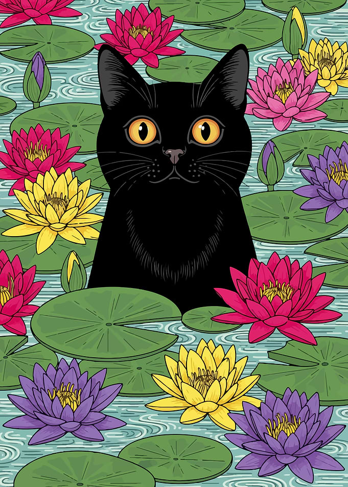 Black cat in a lily pond