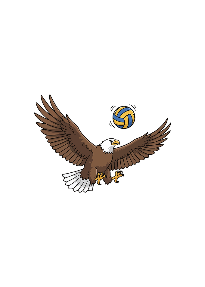 Volleyball Eagle Player