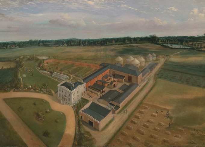 Aerial View of a Farm Estate