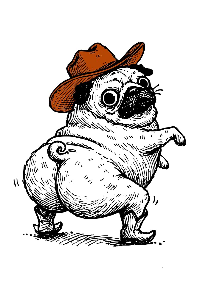 Cowboy Pug Illustration