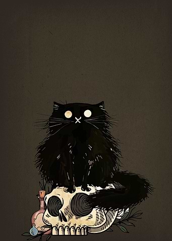 Black Cat on Skull Illustration