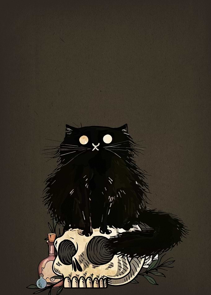 Black Cat on Skull Illustration