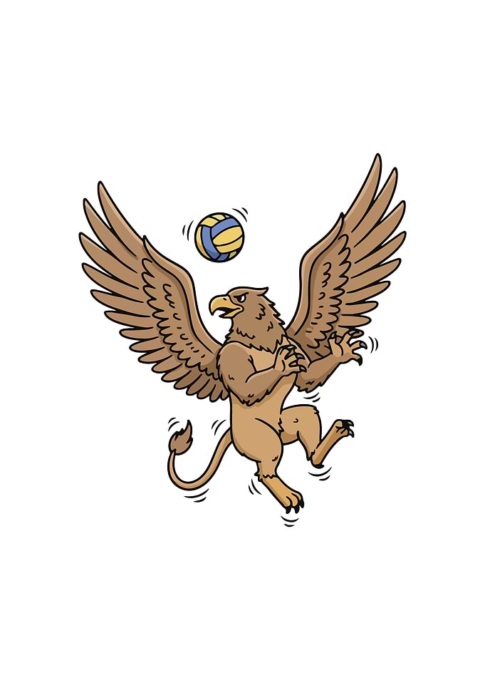 volleyball Griffin Player