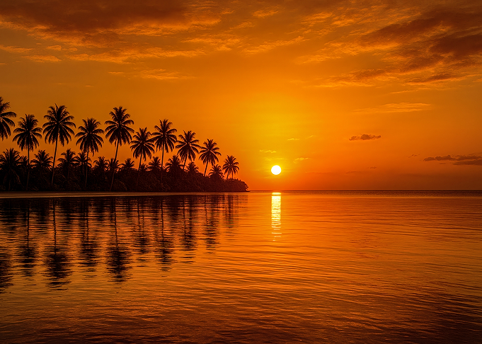 Tropical Sunset with Palm Trees