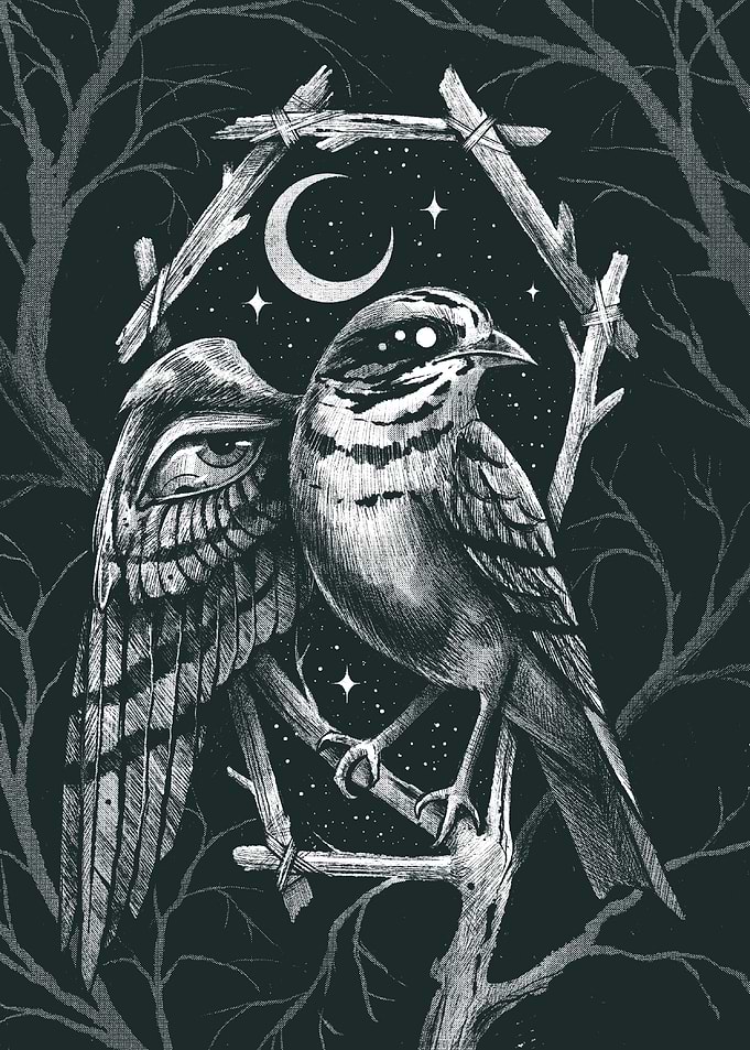 Mystical Bird with Winged Eye