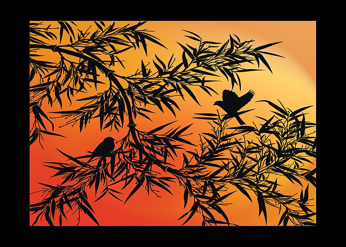 Birds and Bamboo Silhouette at Sunset